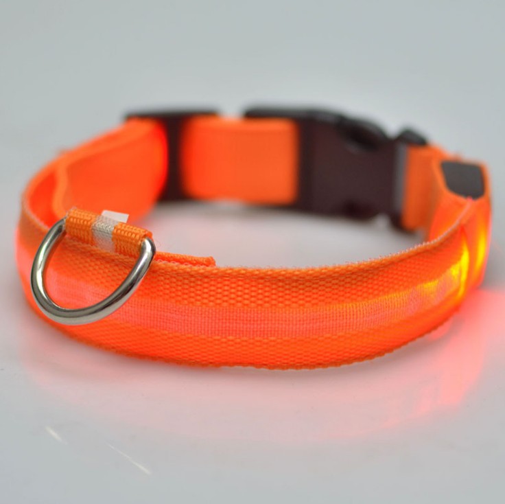 GlowCollar LED – BrightPaws