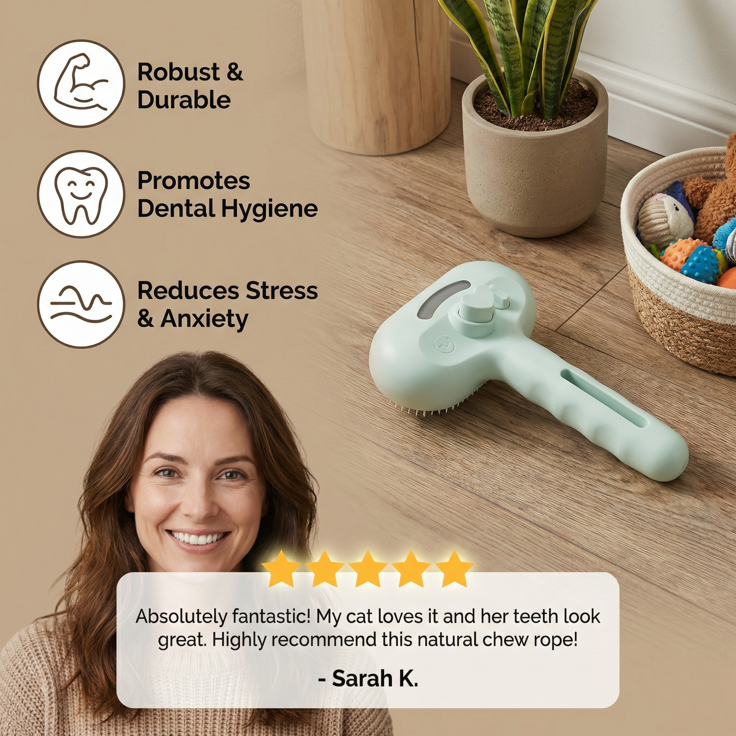 Premium pet brush with steam function