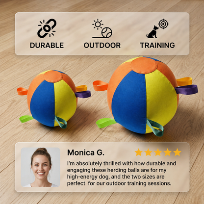 Interactive Colorful Herding Ball with Handles for Dogs – Durable Outdoor Training Toy