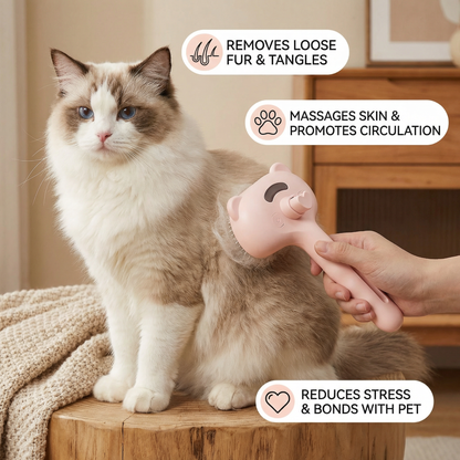 Premium pet brush with steam function