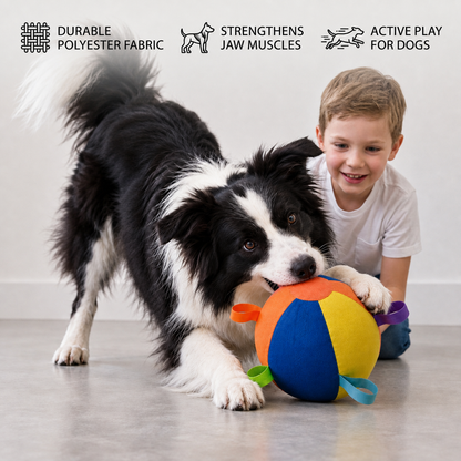 Interactive Colorful Herding Ball with Handles for Dogs – Durable Outdoor Training Toy