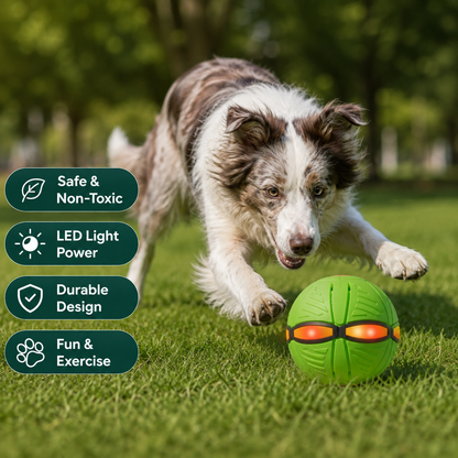 TurboFly – Ultimate Pet Flying Disc