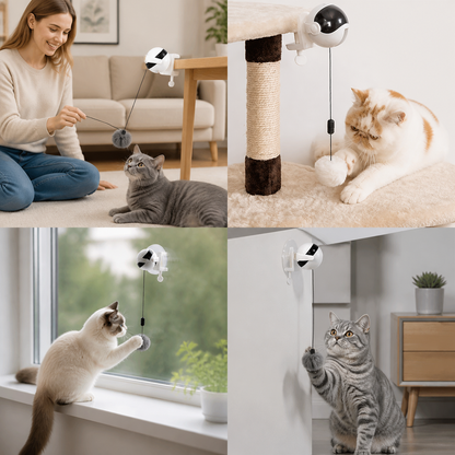Lifting Ball Electric Motion Cat Toy