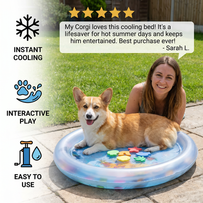 Interactive Cooling Waterbed for Dogs 2.0