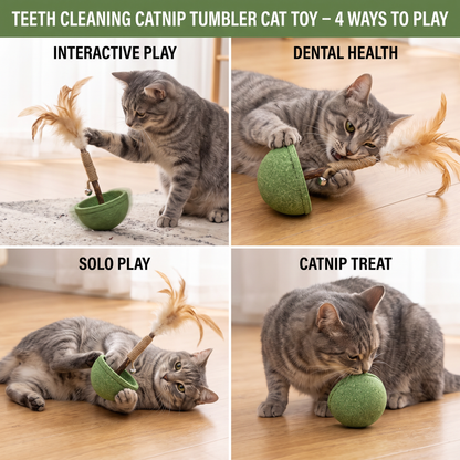 Teeth Cleaning Catnip Tumbler Cat Toy – Interactive Feather Teaser with Bell