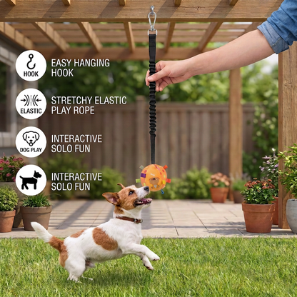 Interactive Hanging Dog Ball Toy with Elastic Play Rope & Hook