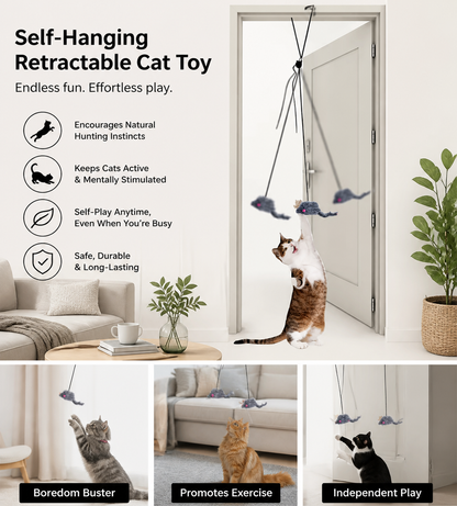 Self-Hanging Retractable Cat Toy