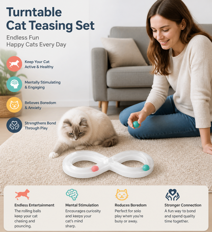 Turntable Cat Teasing Set