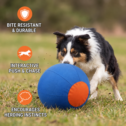 Inflatable Bite Resistant Herding Ball for Dogs – Durable Interactive Push & Chase Toy