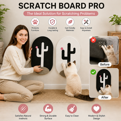 Scratch Board Pro – The Ideal Solution for Scratching Problems