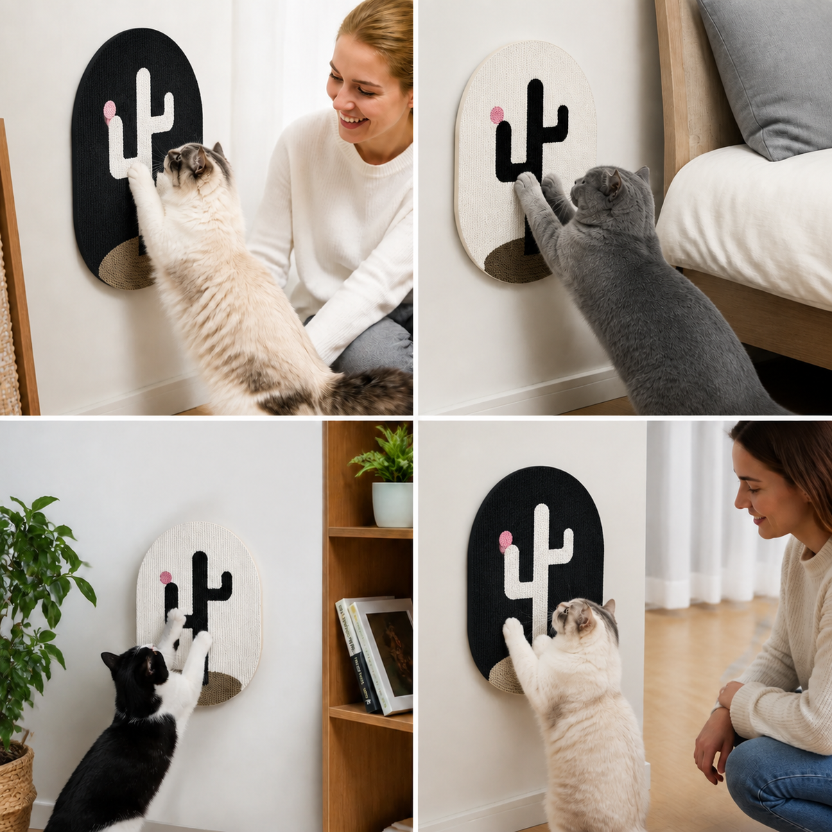 Scratch Board Pro – The Ideal Solution for Scratching Problems