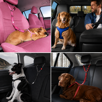 Dog Car Seat Belt
