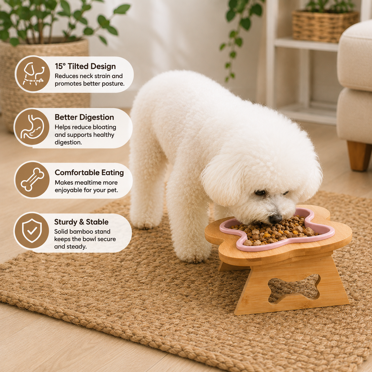 Elevated Ceramic Dog Bowl with Wooden Stand – Paws & Feast