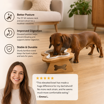 Elevated Ceramic Dog Bowl with Wooden Stand – Paws & Feast