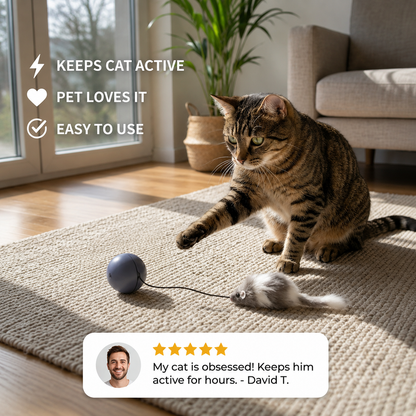 Cat turbo ball with tail toy