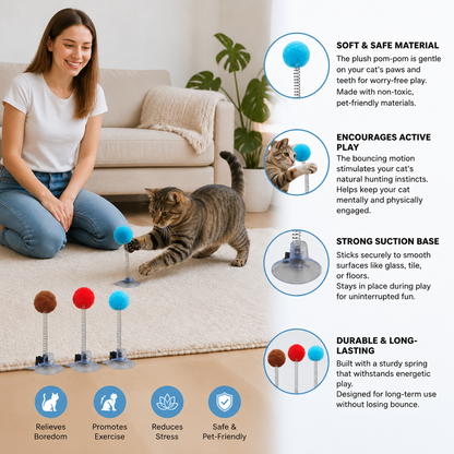 Cat Teaser Wand Toy
