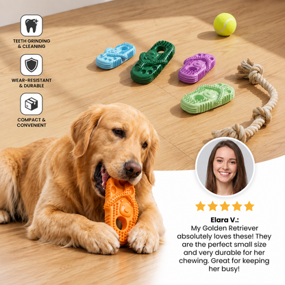 Chew Slippers for Dogs – FunPaws