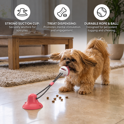 Durable Tug Toy for Dogs – PowerPaw