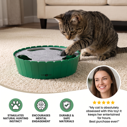Interactive Hide & Seek Mouse Cat Toy