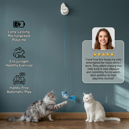 Automatic Flying Bird Cat Toy – Rechargeable Interactive Hanging Teaser