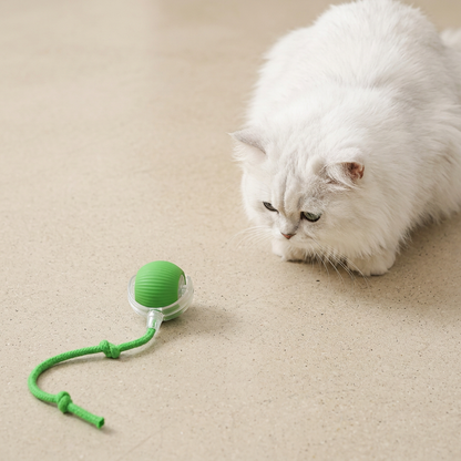 Upgraded Smart Rolling Cat Ball – Durable Interactive Toy with Mesh Tail