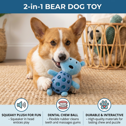 2-in-1 Bear Dog Toy – Squeaky Plush & Dental Chew Ball