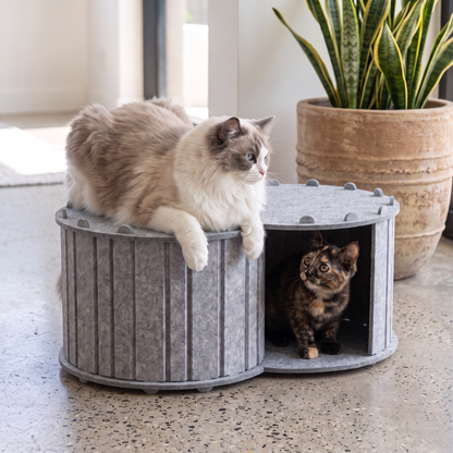2-in-1 Interactive Play Cat Bed & Scratcher Hideaway