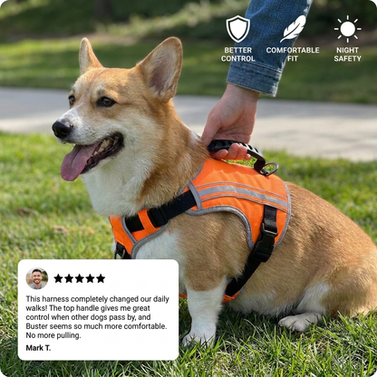 NoPull Dog Harness – WalkEase
