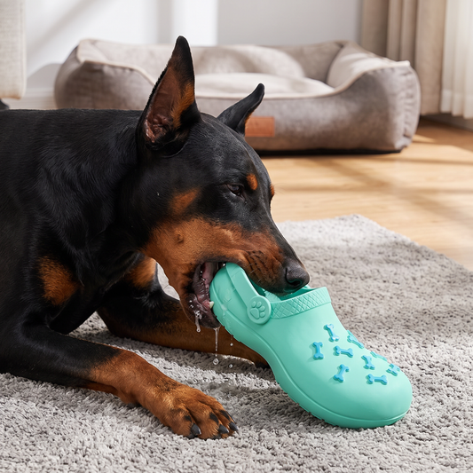 Interactive Squeaky Slipper Dog Chew Toy