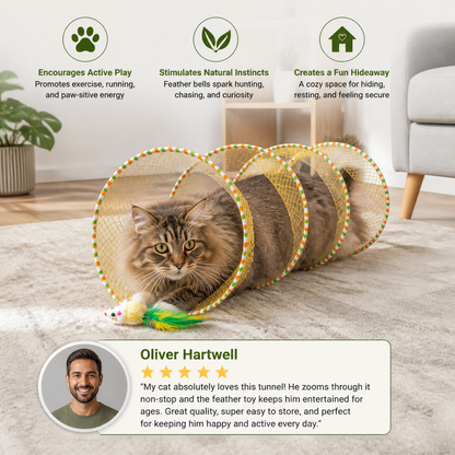Collapsible Spiral Cat Play Tunnel with Feather Bells