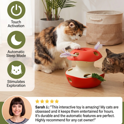 3-in-1 Apple-Shaped Cat Toy – Interactive Feather & Ball Toy