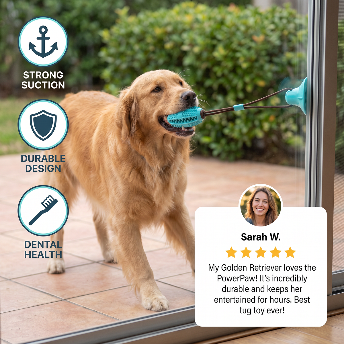 Durable Tug Toy for Dogs – PowerPaw