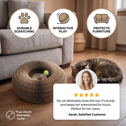 Cat Ball and Scratch Toy