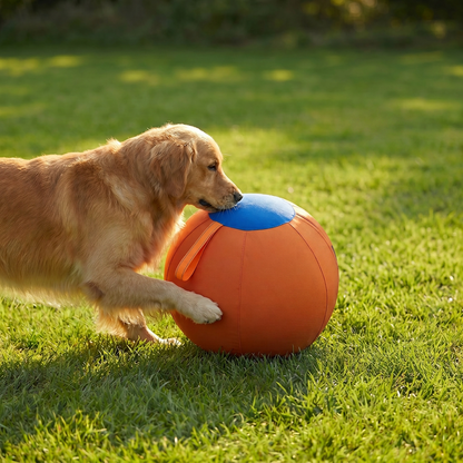 Durable training ball with cover for dogs