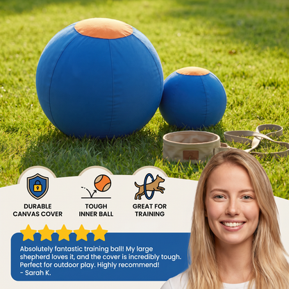 Durable training ball with cover for dogs