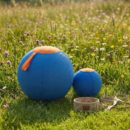 Durable training ball with cover for dogs