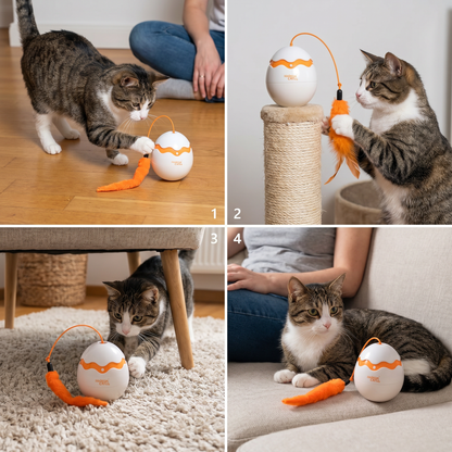 Interactive Wobble Egg Cat Toy – Automatic Feather Teaser
