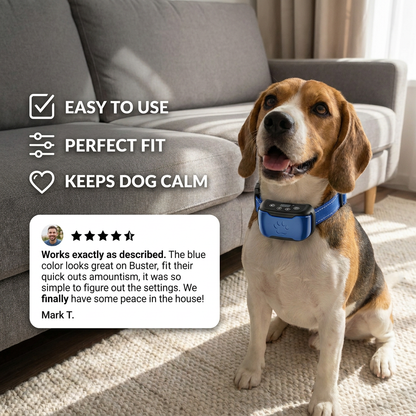 Dog Training Collar for Quiet Behavior – CalmPaws