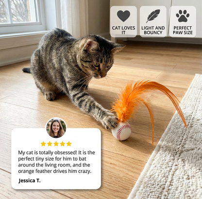 Cat Feather Rubber Ball Toy