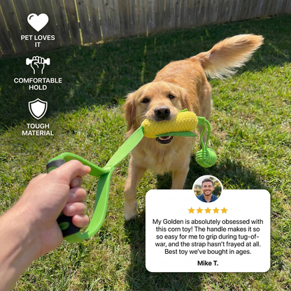 Interactive Tug Toy for Dogs – PlayBuddy Tug