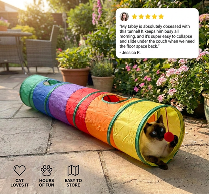 Rainbow Cat Tunnel – PlayFun Tunnel
