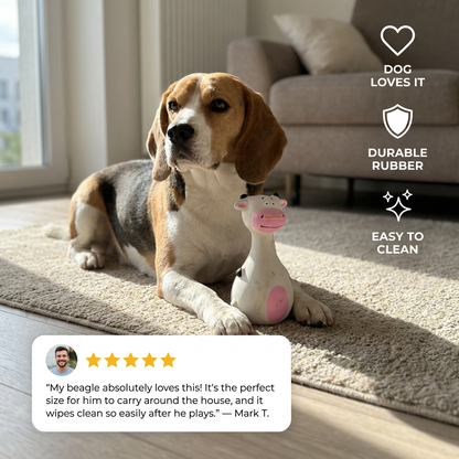Squeaky Interactive Throw Toy