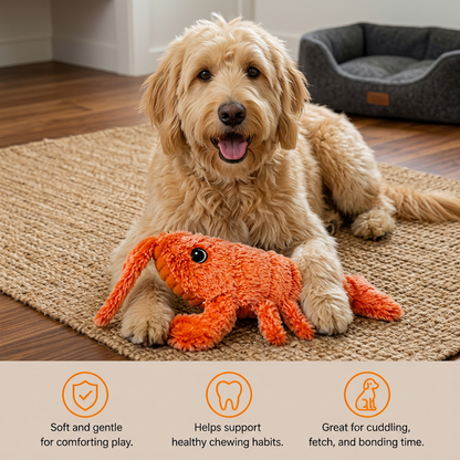 Spring Crab – The Jumping Dog Toy