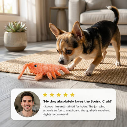Spring Crab – The Jumping Dog Toy