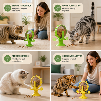 Treat-Spinning Fun for Pets