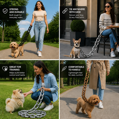 ChainWalk Leash