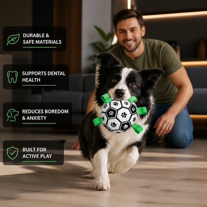 Dog Ball Toy with Integrated Pull Ropes