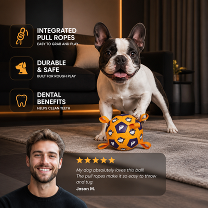 Dog Ball Toy with Integrated Pull Ropes