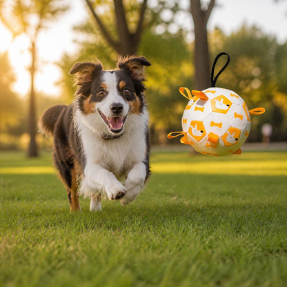 Dog Ball Toy with Integrated Pull Ropes