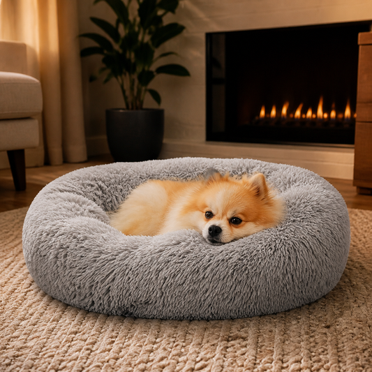 Premium Dog Bed